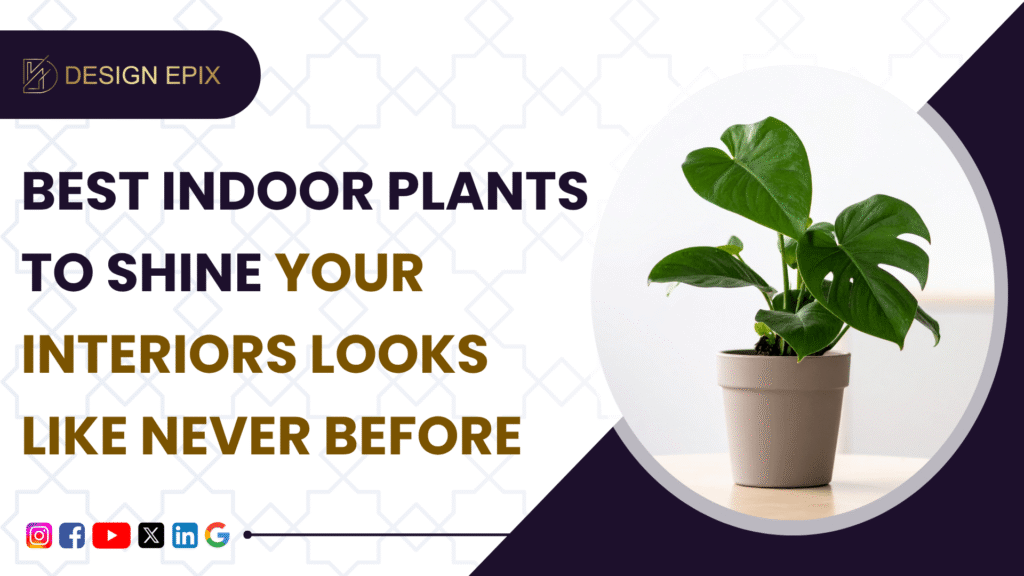 Best Indoor Plants That Grow Easily in Bangalore Apartments